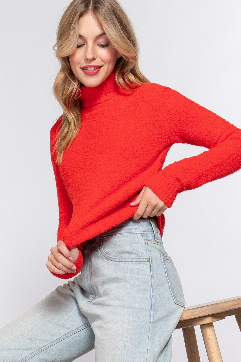 Long Sleeve Turtle Neck Sweater